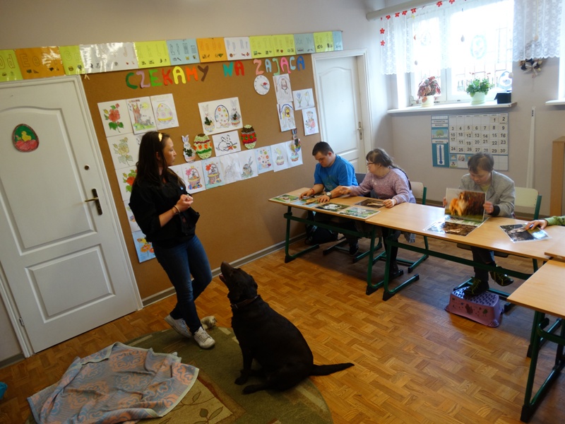 drzwi otwarte 21 20170410 1676960618