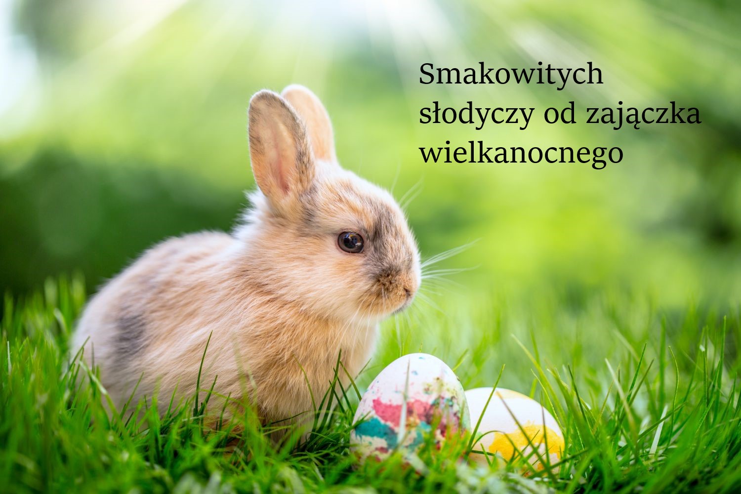 zyczenia dla 1sp